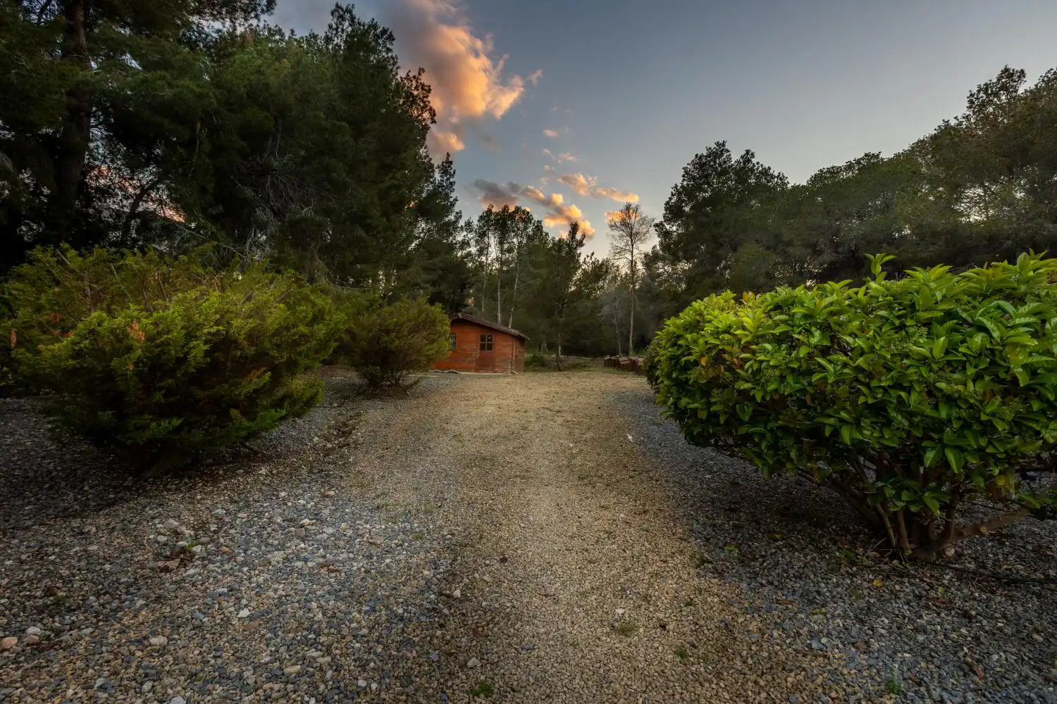 Jardín de Casa o chalet en venta en L'Alfàs del Pi con Aire acondicionado, Jardín privado y Terraza
