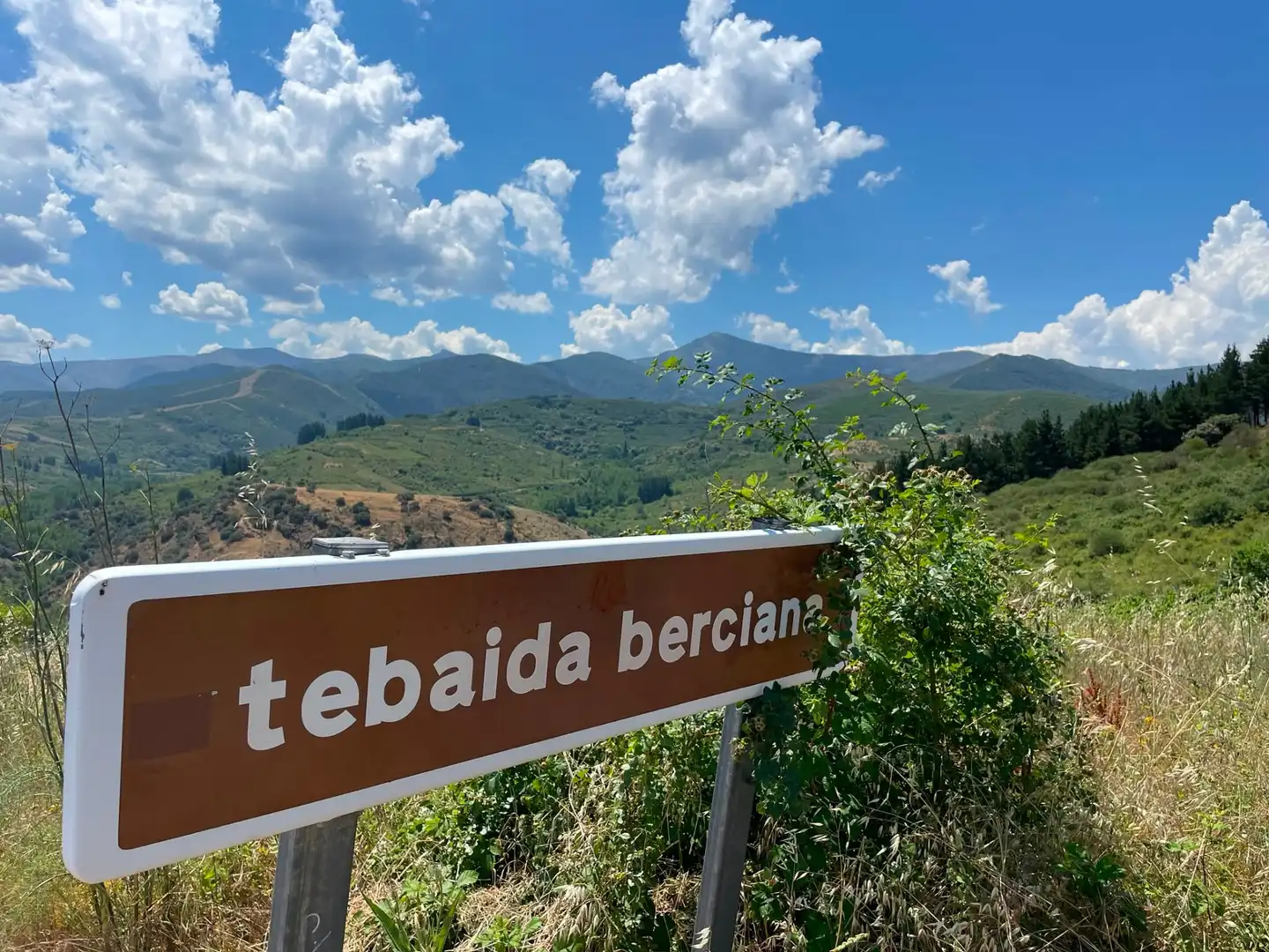 Vista exterior de Finca rústica en venda en Ponferrada