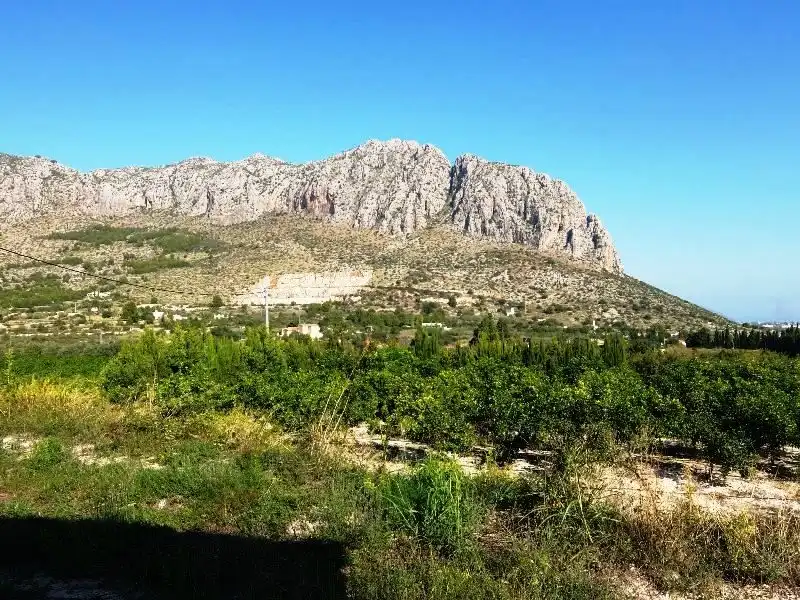 Terreny rústic en venda a Ondara, imagen 3