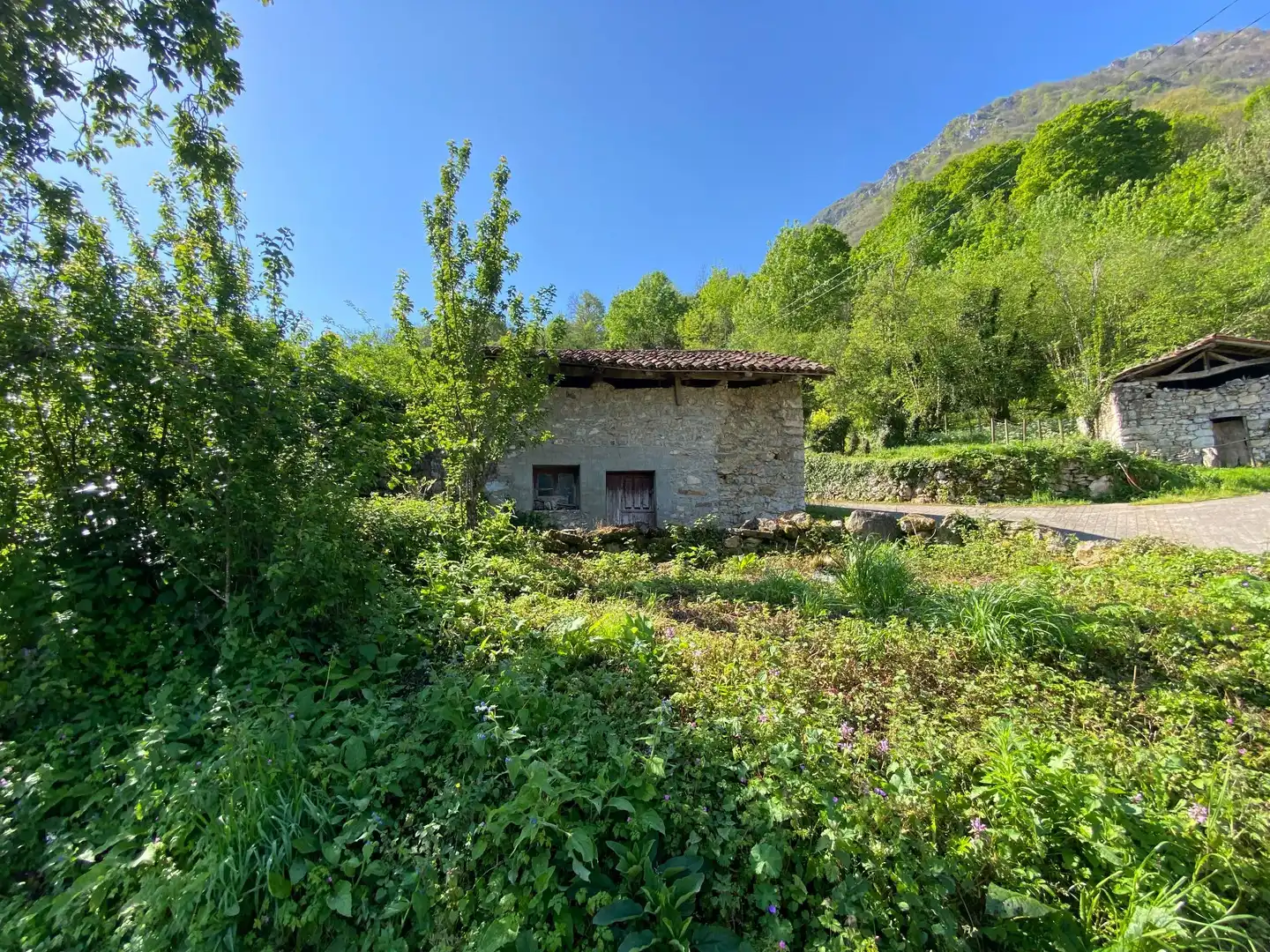 Maison à vendre à Tribierto, imagen 3