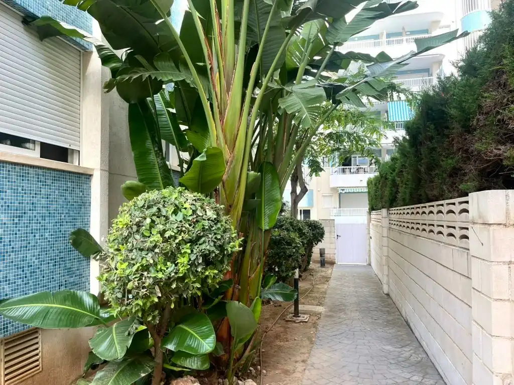 Mini appartamento con piscina in vendita a Avenida Roger de Lluria 1, imagen 18