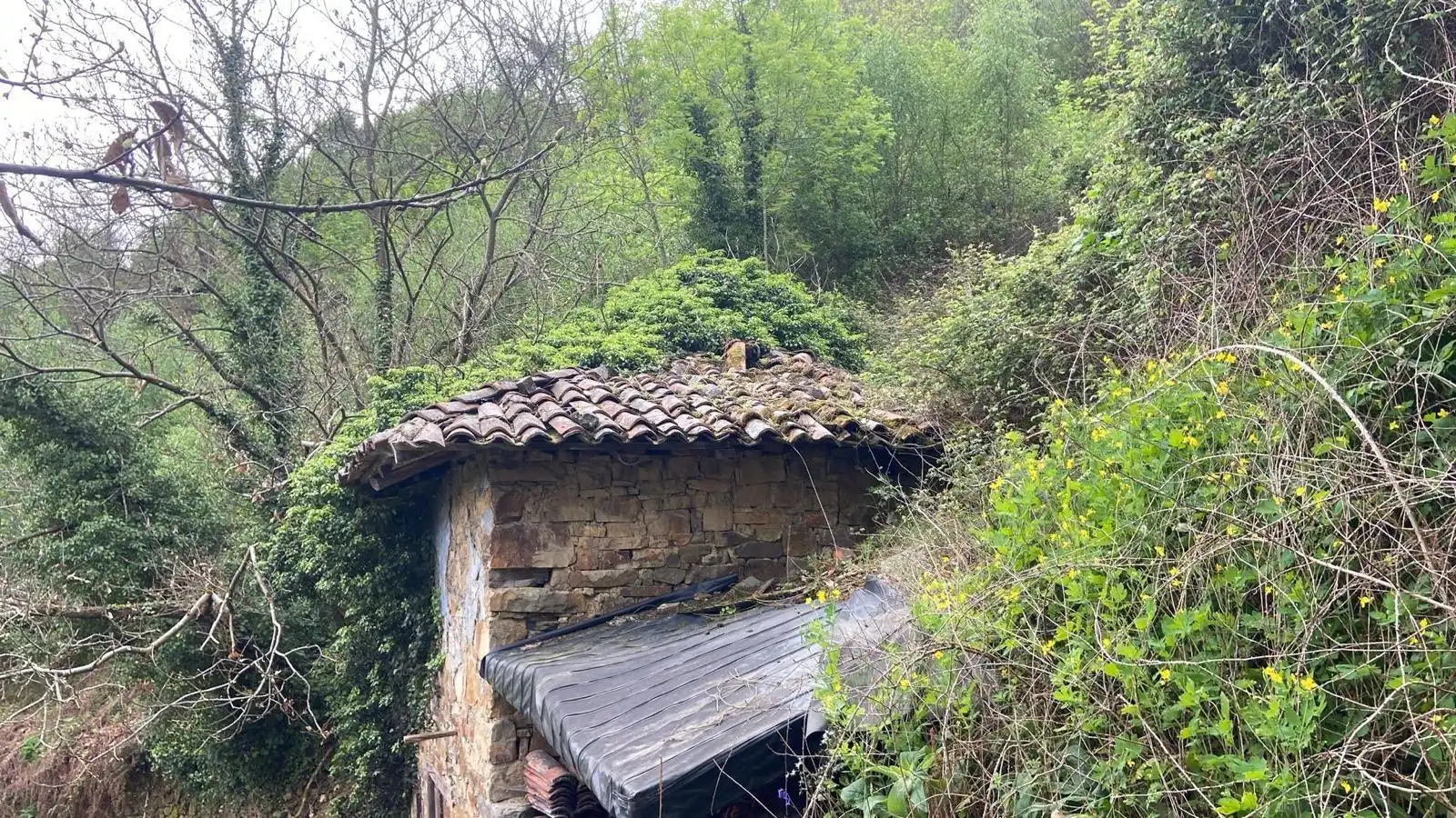 Maison rustique à vendre à SARABIA, imagen 9