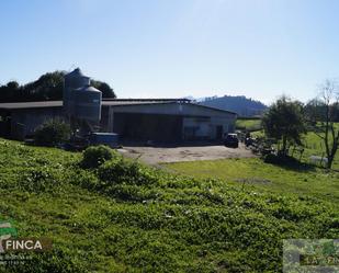 Exterior view of Industrial buildings for sale in Oviedo 