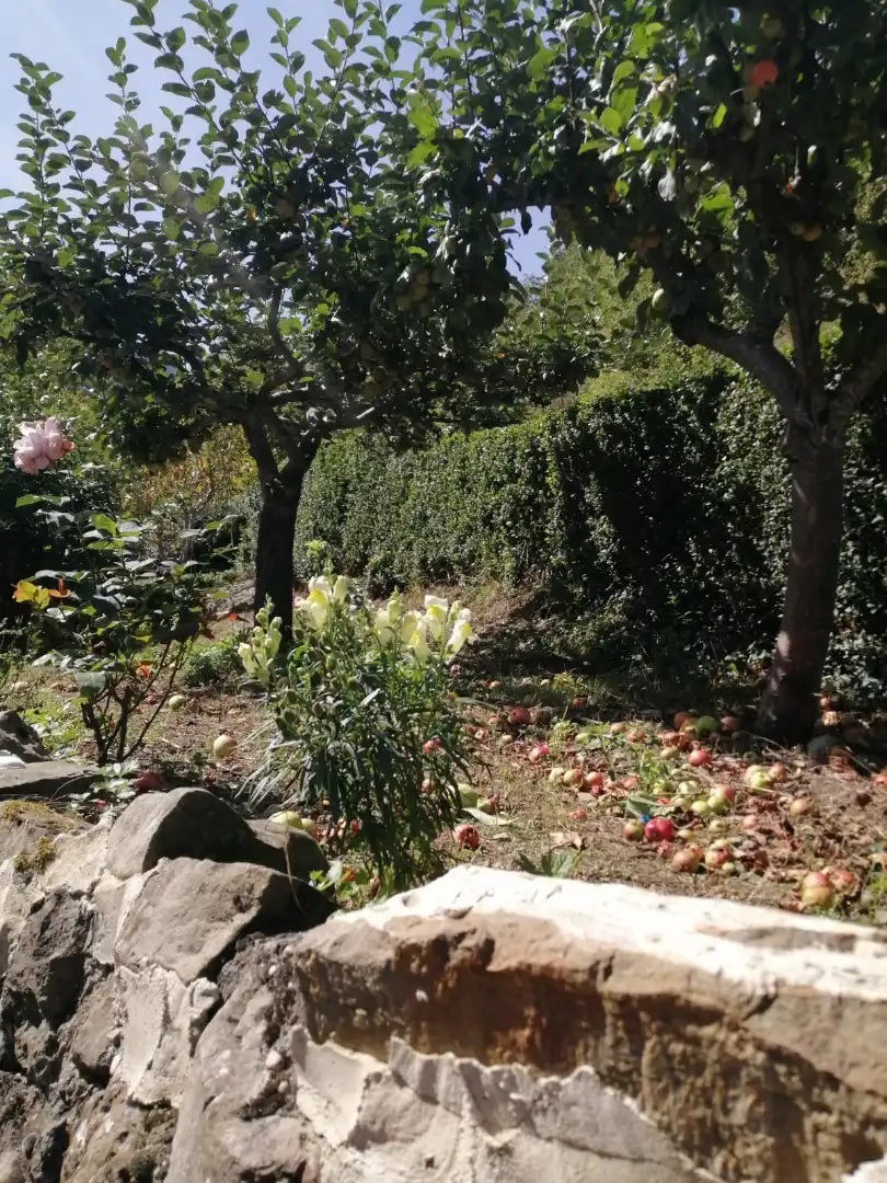 Jardí de Casa o xalet en venda en Vega de Liébana amb Jardí privat, Moblat i Balcó