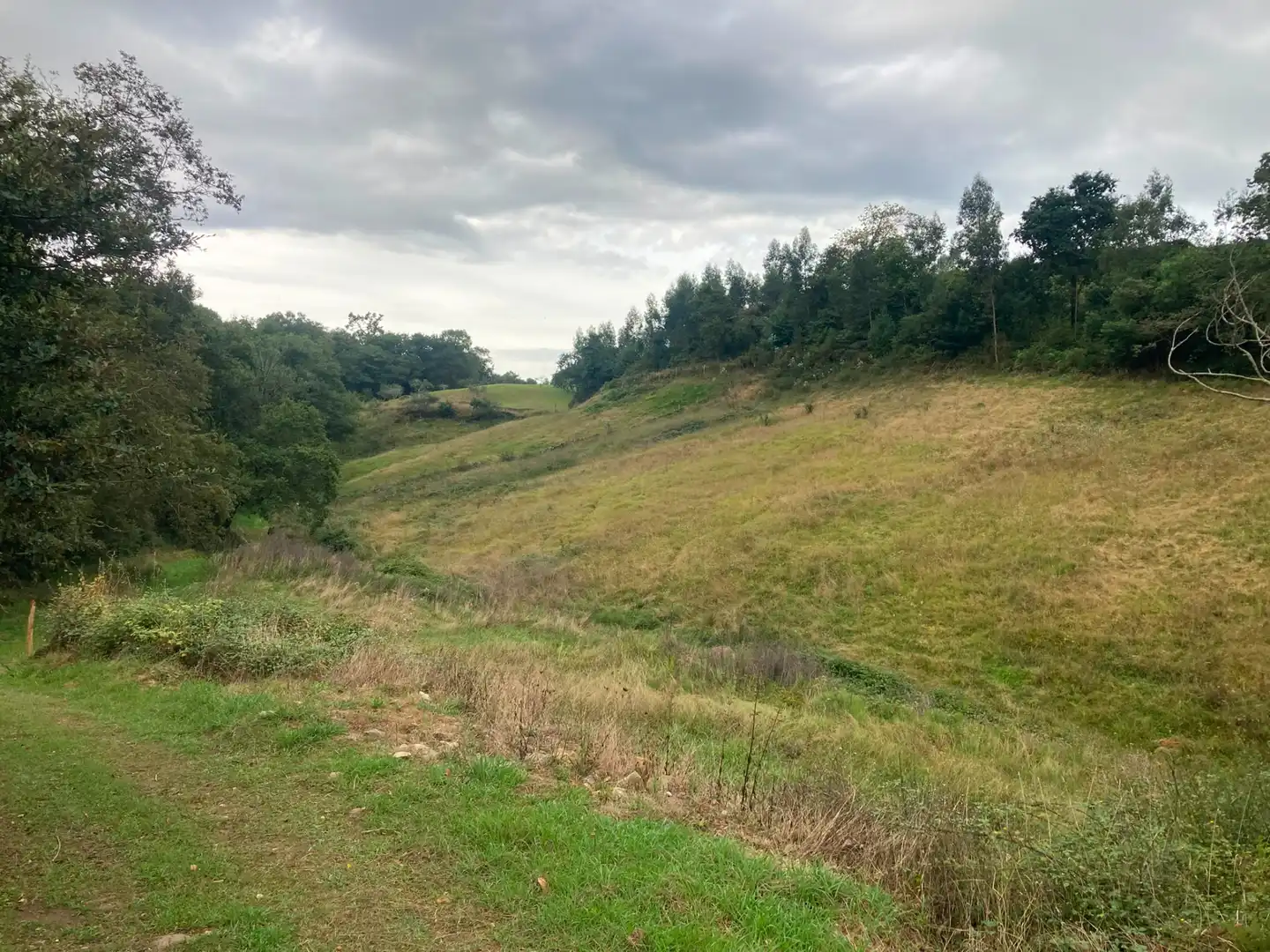 Terreno en venta en Villaviciosa