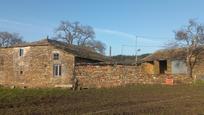 Exterior view of Country house for sale in Castro de Rei  with Private garden