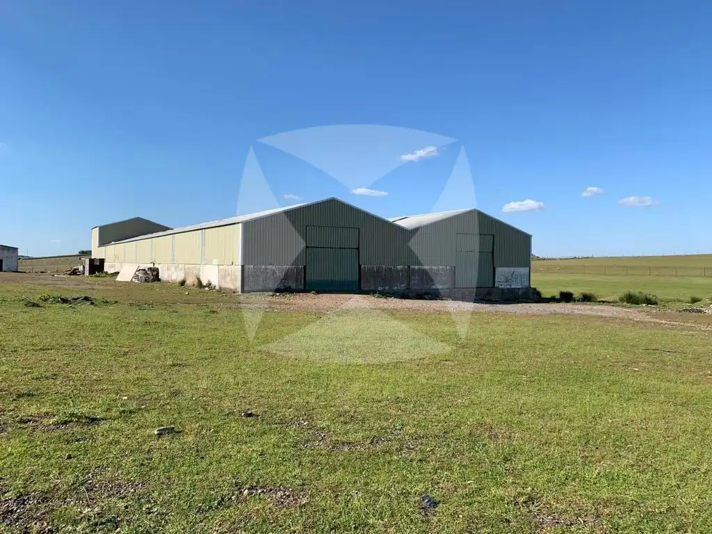 Industrial buildings for rent in Olivenza, Olivenza