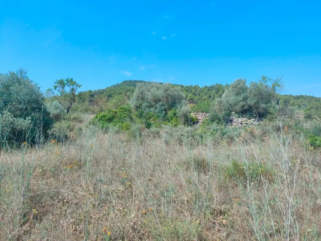 Terreni e lotti in vendita a Arens de Lledó, imagen 7