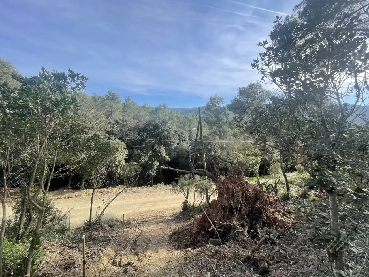Rural land for sale in Avenida Modolell