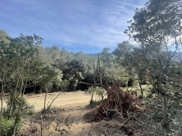 Terreny rústic en venda a Avenida Modolell