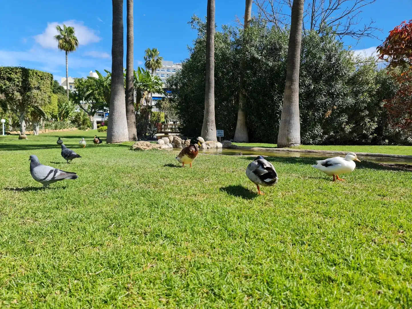 Jardí de Pis en venda en Torremolinos amb Aire condicionat, Calefacció i Jardí privat