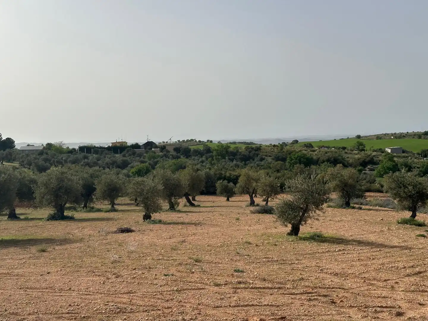 Terreno en venta en Morata de Tajuña