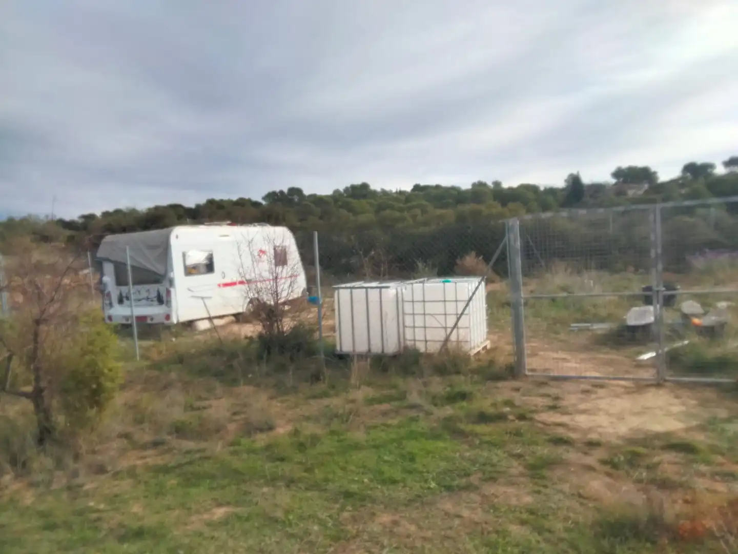 Terreno rústico en venta en Casinos, imagen 6