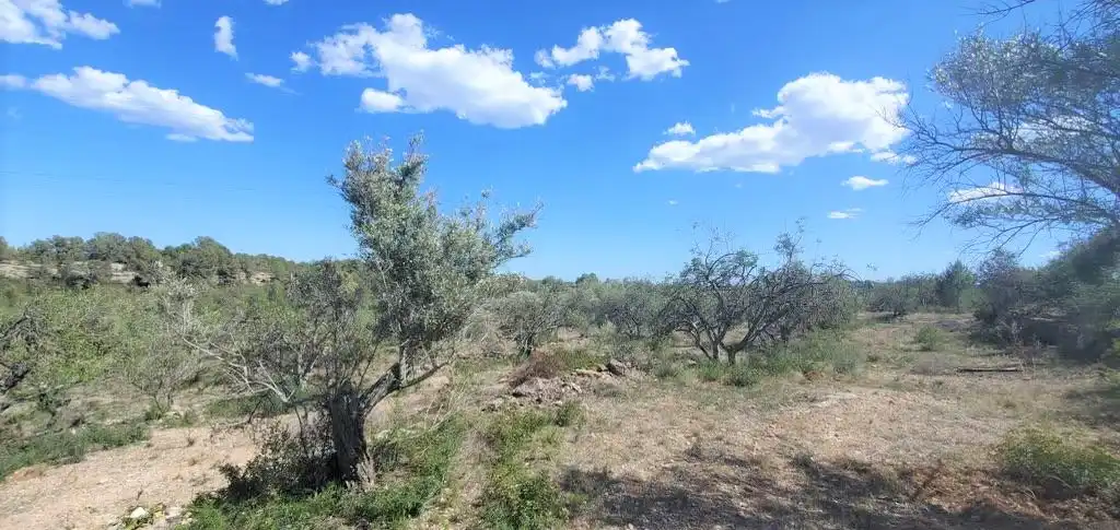 Finca rústica en venda a L'Ametlla de Mar pueblo