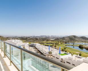 Terrassa de Apartament en venda en Pulpí amb Terrassa i Piscina