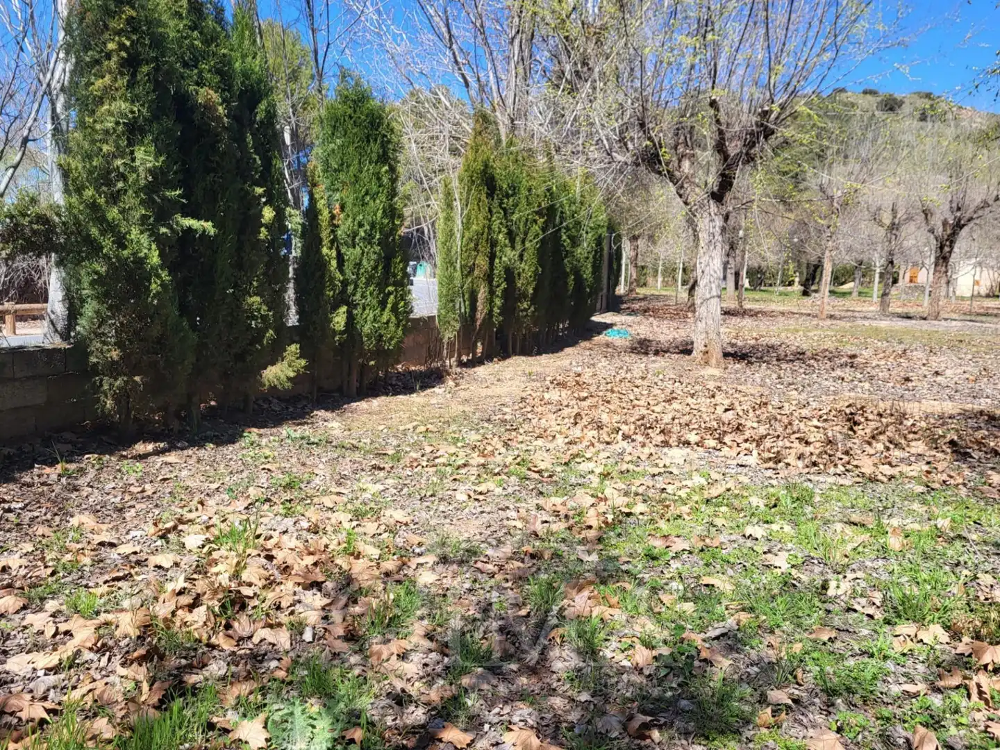 Land for sale in Ruidera