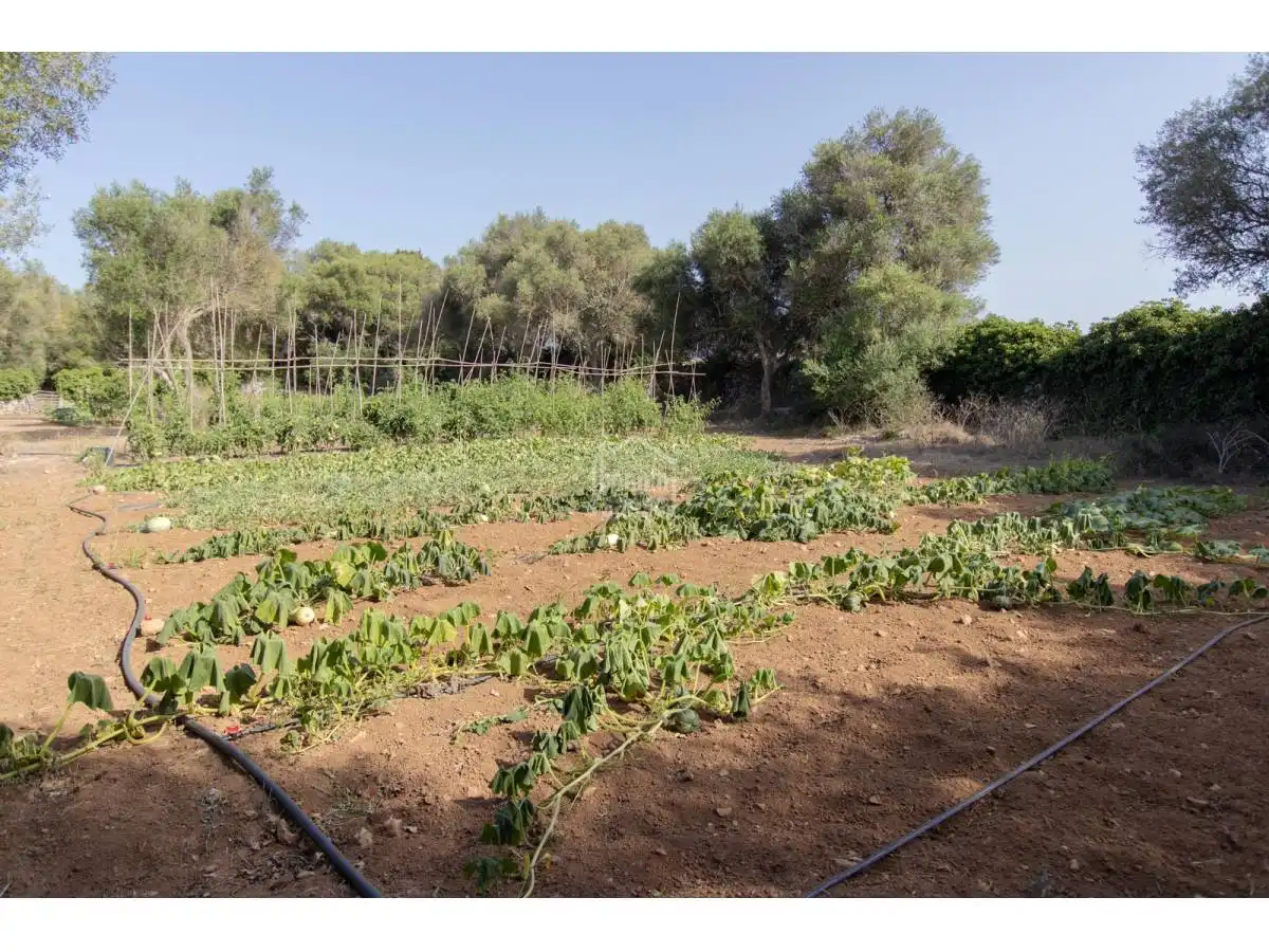 Detached house with pool for sale in Alaior poble, imagen 66