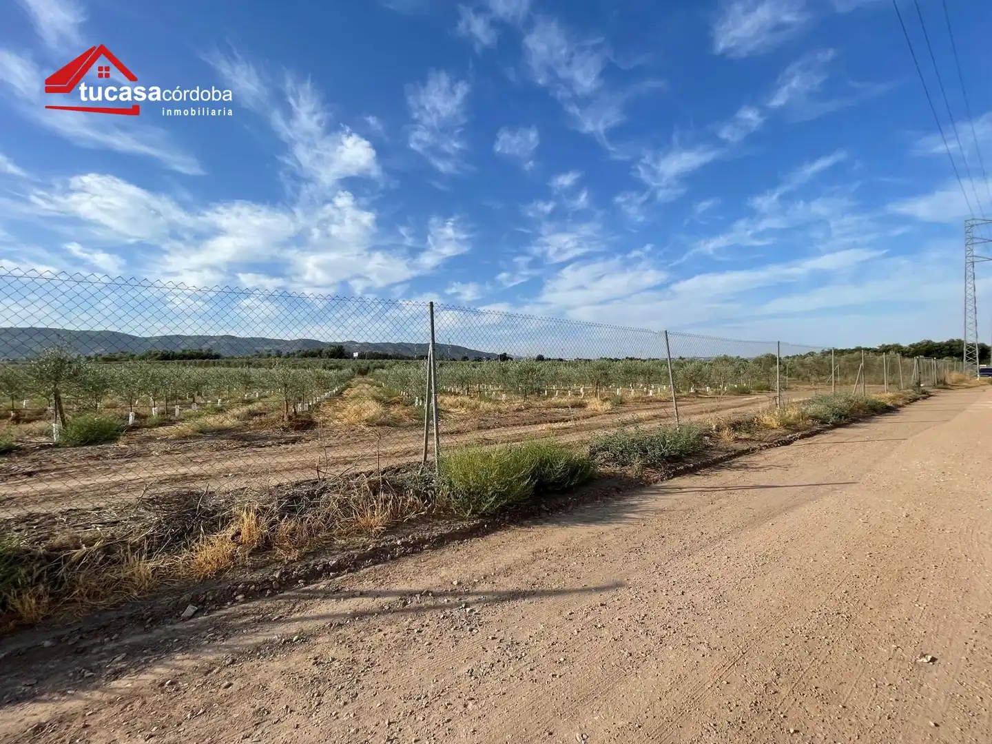 Finca rústica en venta en Córdoba con Piscina