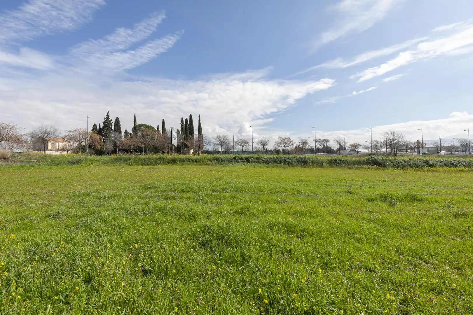 Land for sale in Granada