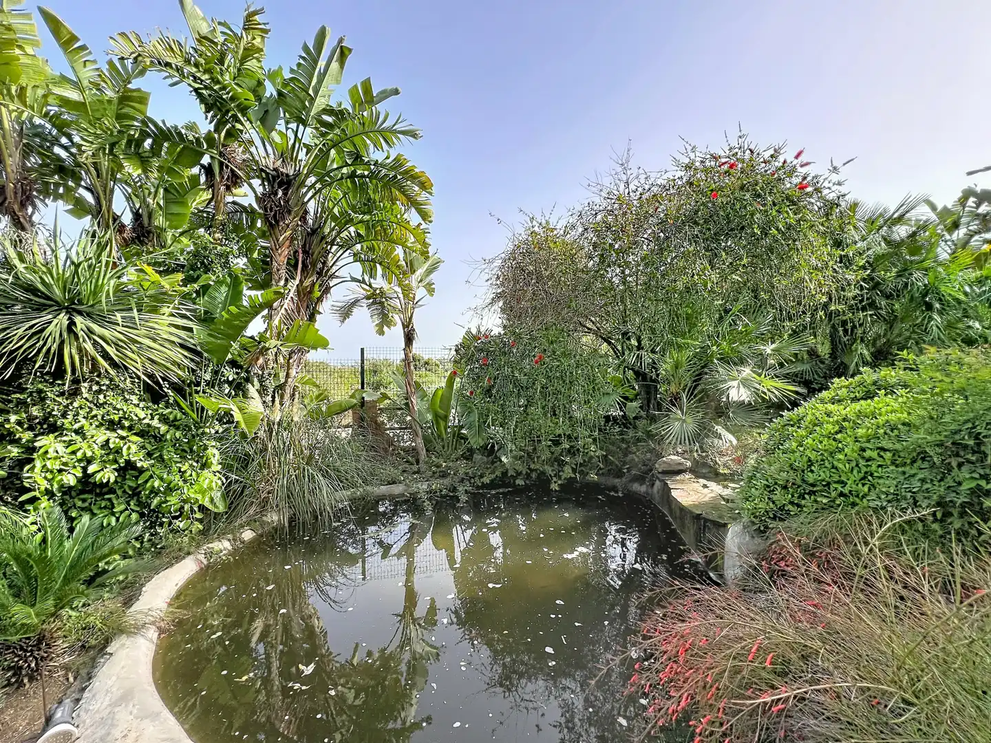 Appartement compact avec piscine à vendre à Casares Golf - Casares del Sol, imagen 15