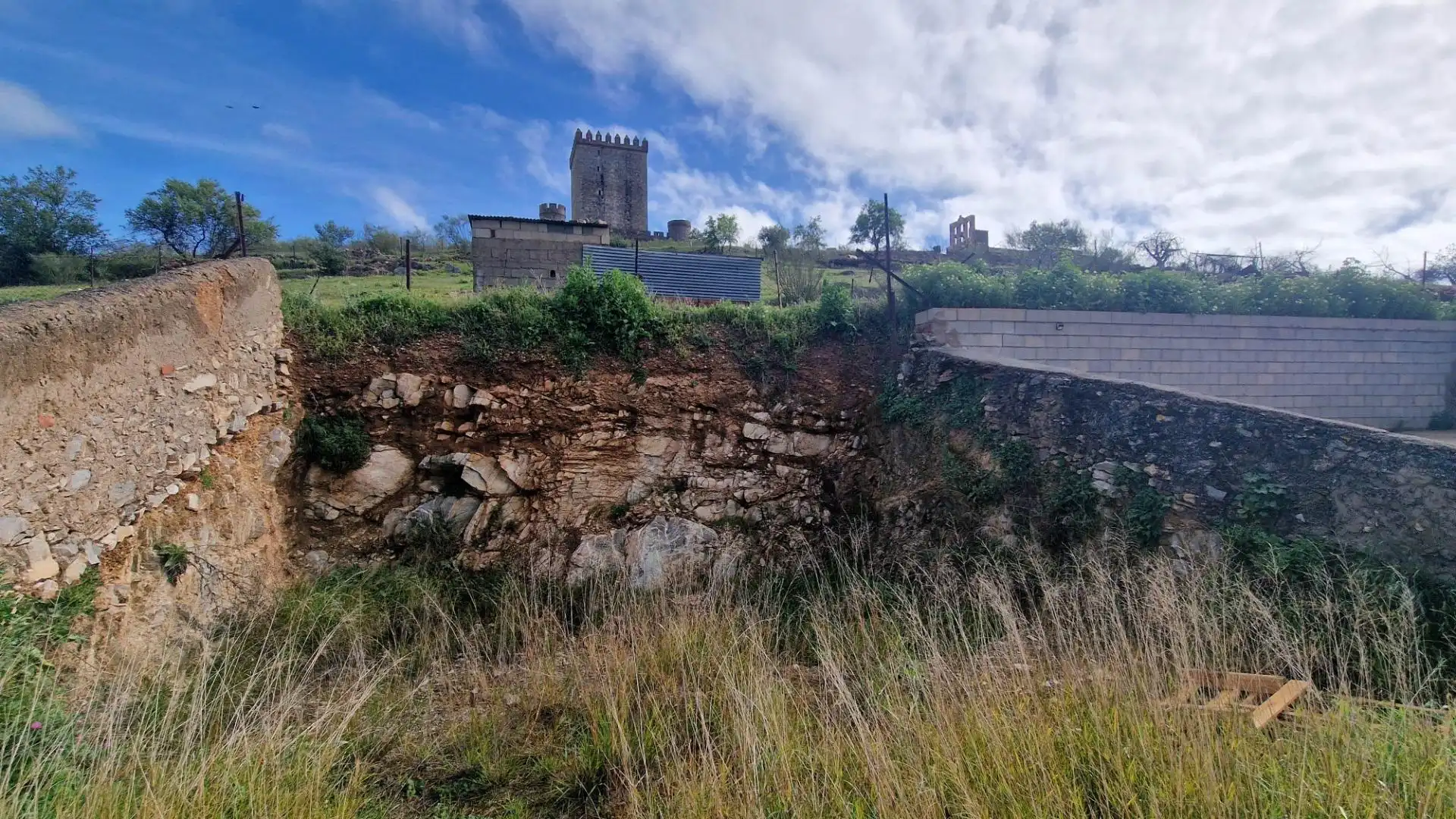 Vista exterior de Casa o chalet en venta en Nogales con Calefacción, Jardín privado y Terraza