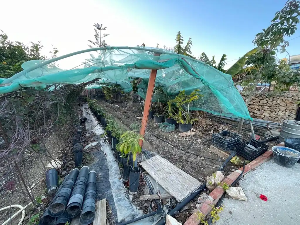 Finca rústica en venta en N/A, Avda Pescia - Ctra de Frigiliana