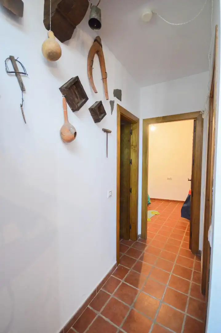 Ground floor with terrace for sale in MEZQUITA LA 3, imagen 14