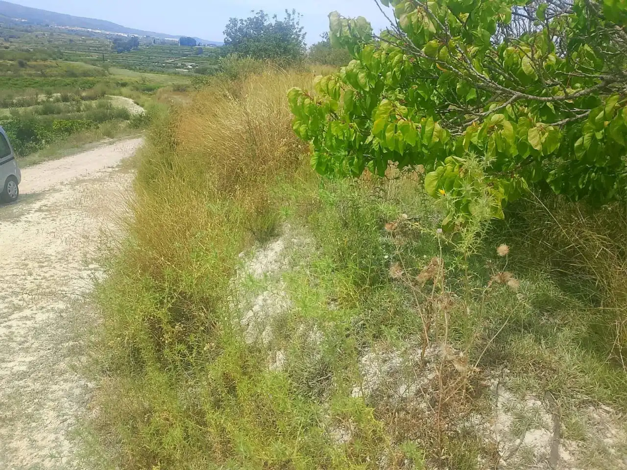 Land for sale in Bélgida