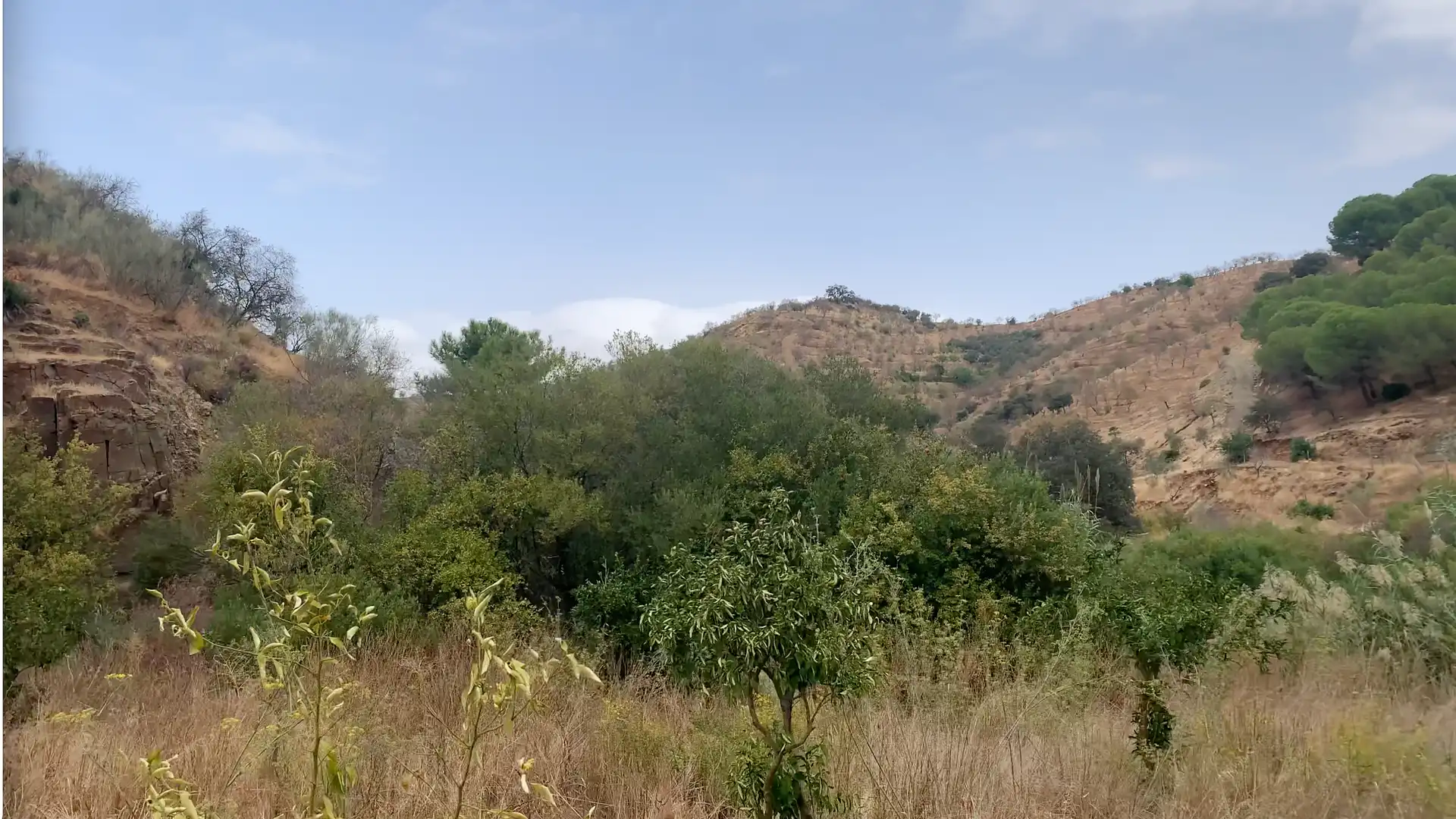Casa rustica in vendita a Camino Los Guaperos , Paraje Majada Llana,, imagen 16