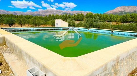 Edificio en venta en VélezRubio., imagen 2