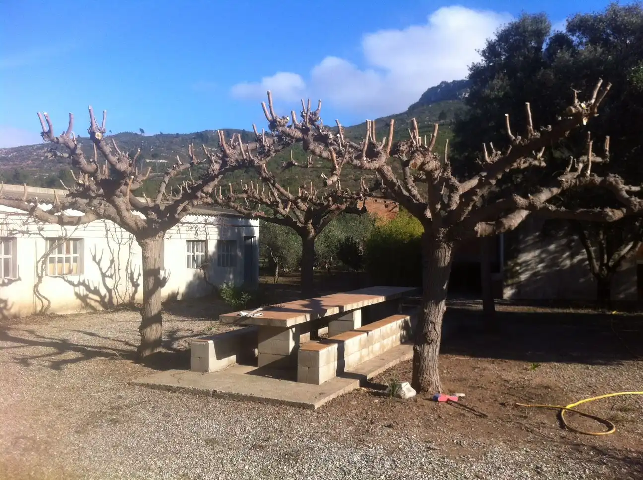 Garden of Country homes for sale in Vilaverd  with Private garden, Terrace and Storage room