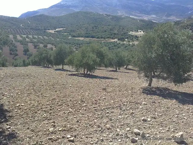 Lands and plots for sale in Bobadilla - Bobadilla Estación - La Joya, imagen 8