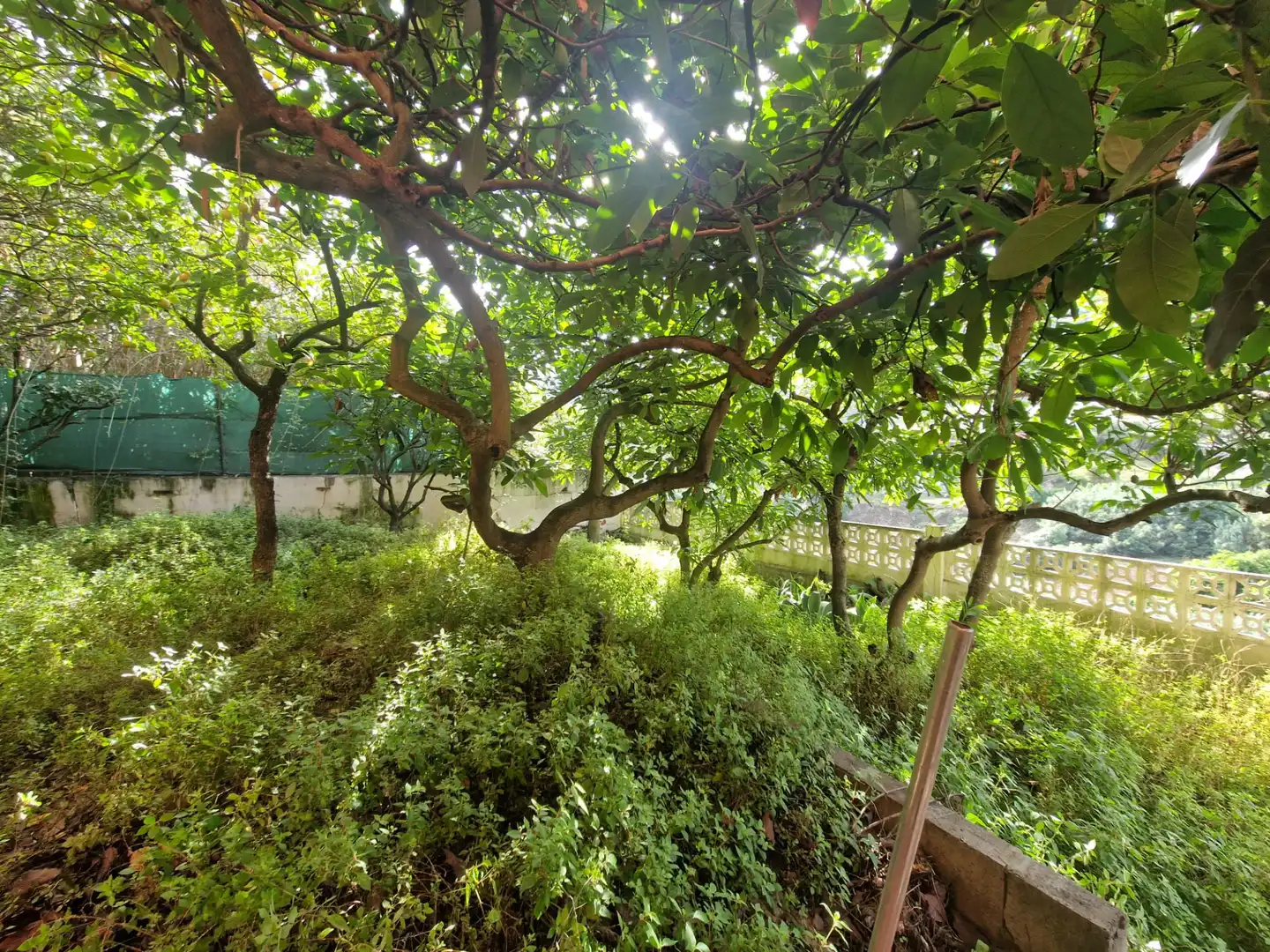 Jardí de Casa adosada en venda en Teror amb Jardí privat i Internet