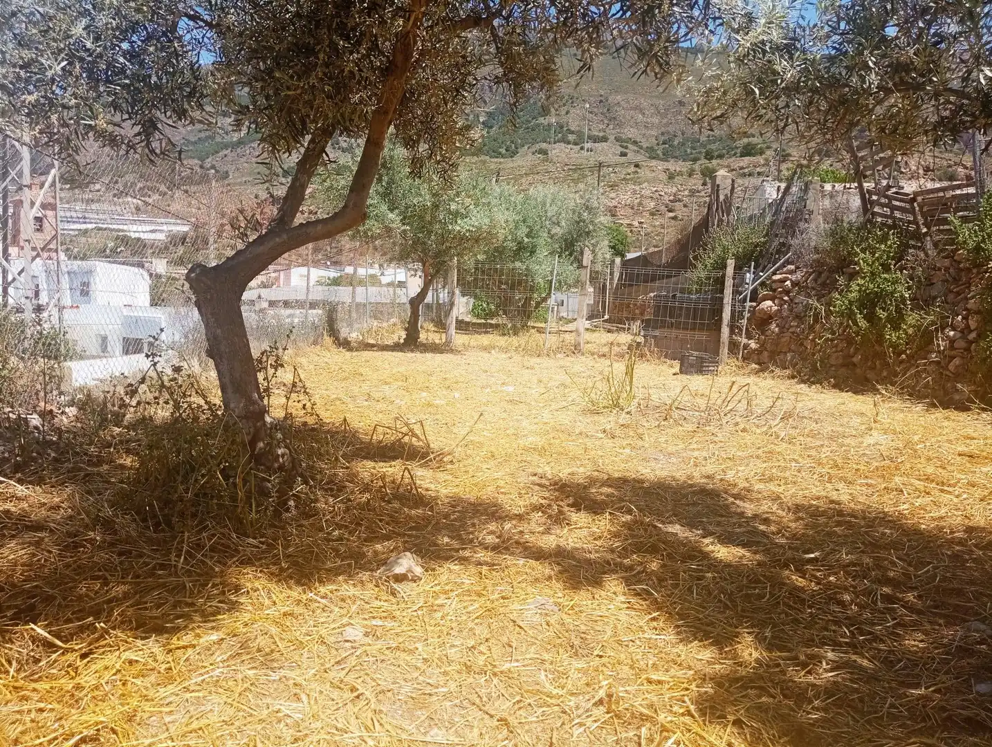 Terreno residenziale in vendita a Calle del Cerrillo Páez 5, imagen 4