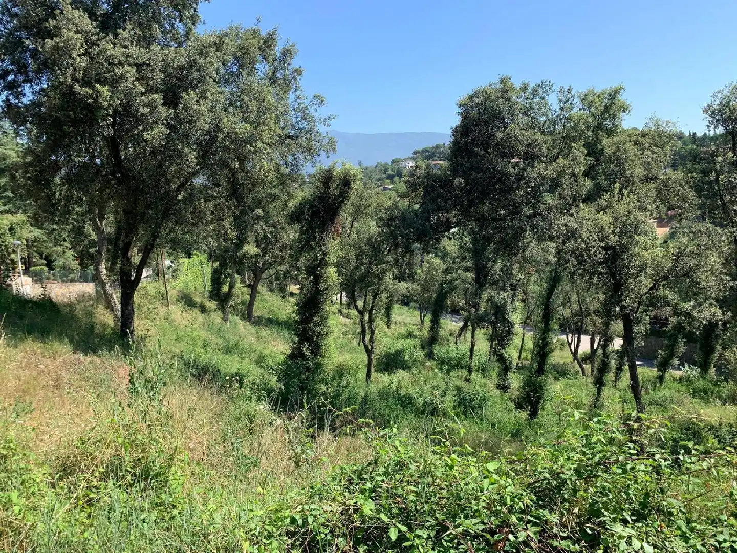 Terrenys i solars en venda a Sant Pere de Vilamajor, imagen 6