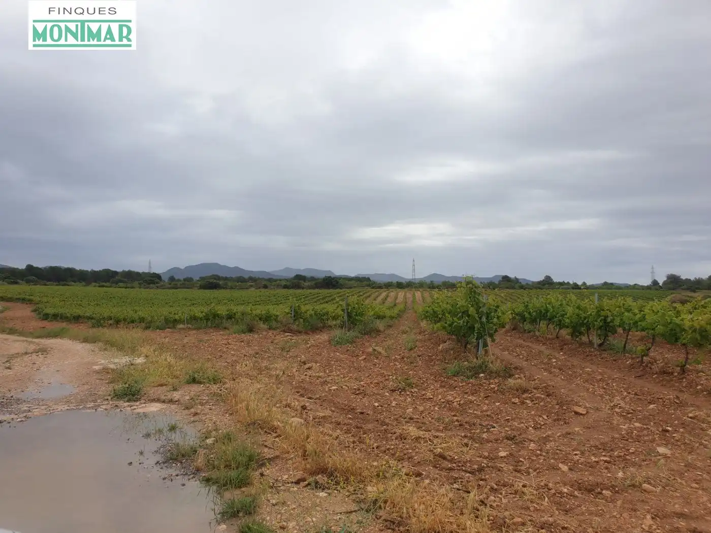 Finca rústica en venda en El Pla de Santa Maria