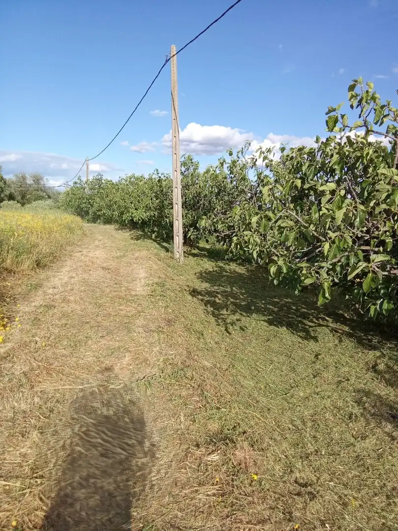 Land for sale in Losar de la Vera