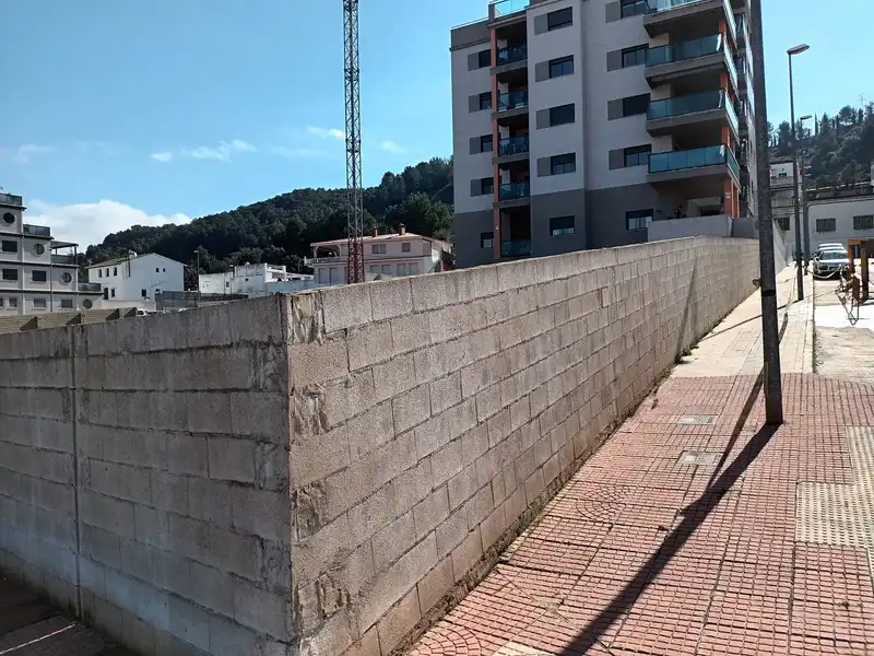Altri in vendita a PINTOR JUAN FRANCES, imagen 2