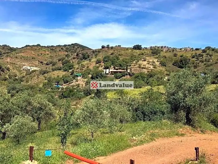 Terreni e lotti in vendita a Almogía, imagen 9