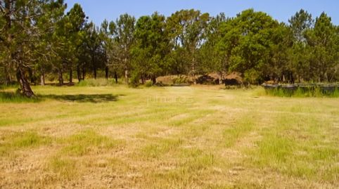 Se vende terreno rústico de uso agrícola de 17.542 m2 en Garriguella, en un entorno tranquilo entre la montaña y el campo.Actualme, imatge 2