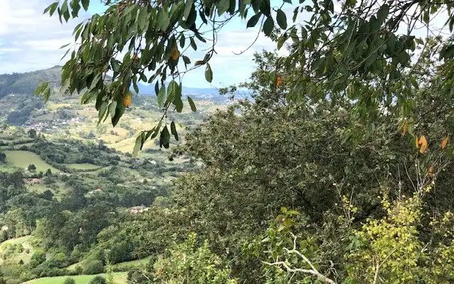 Terreno rustico in vendita a Camino DE LOS CIERROS-CALDONES, imagen 34