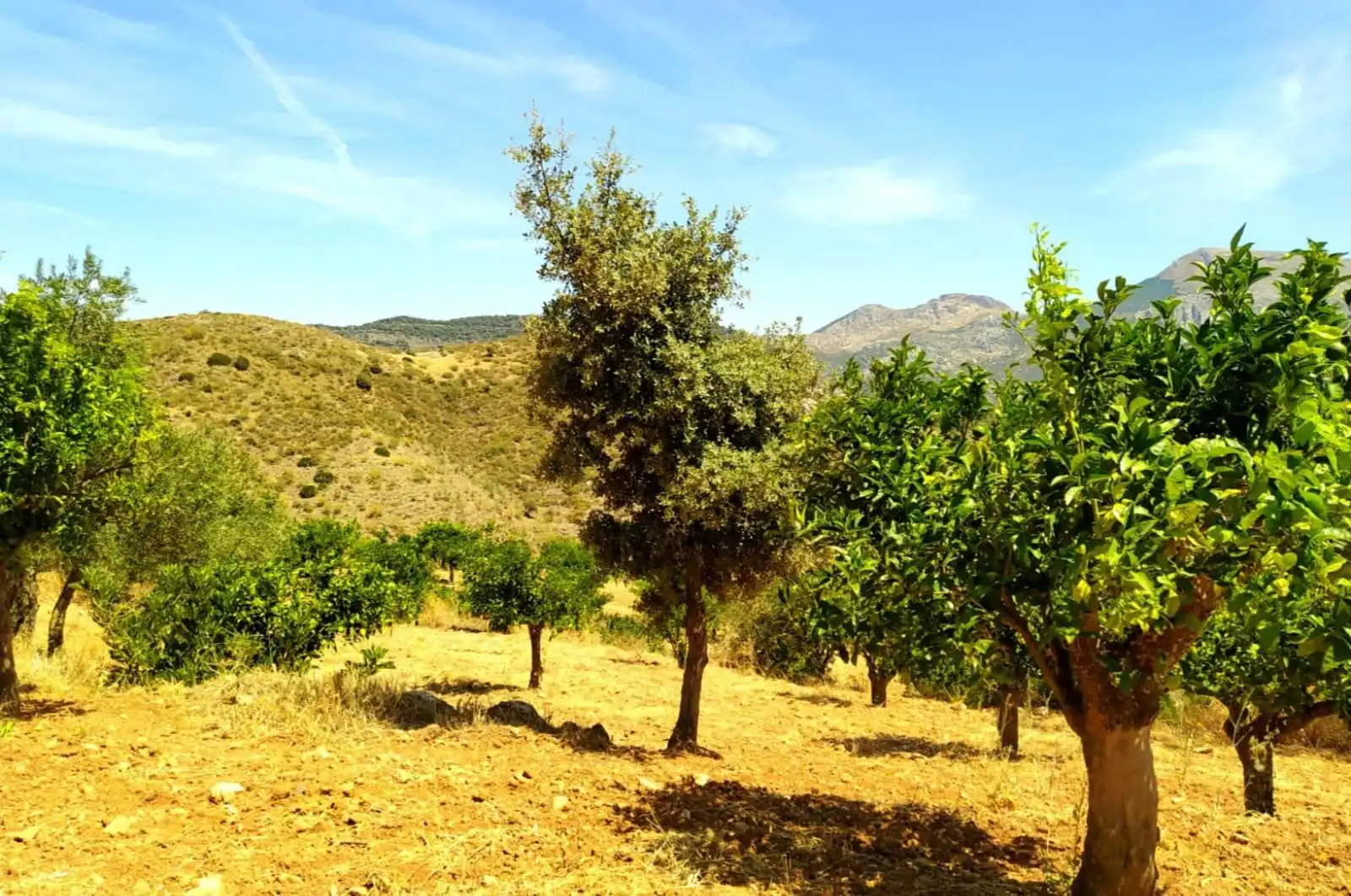 Terreni e lotti in vendita a huerto franco, imagen 41