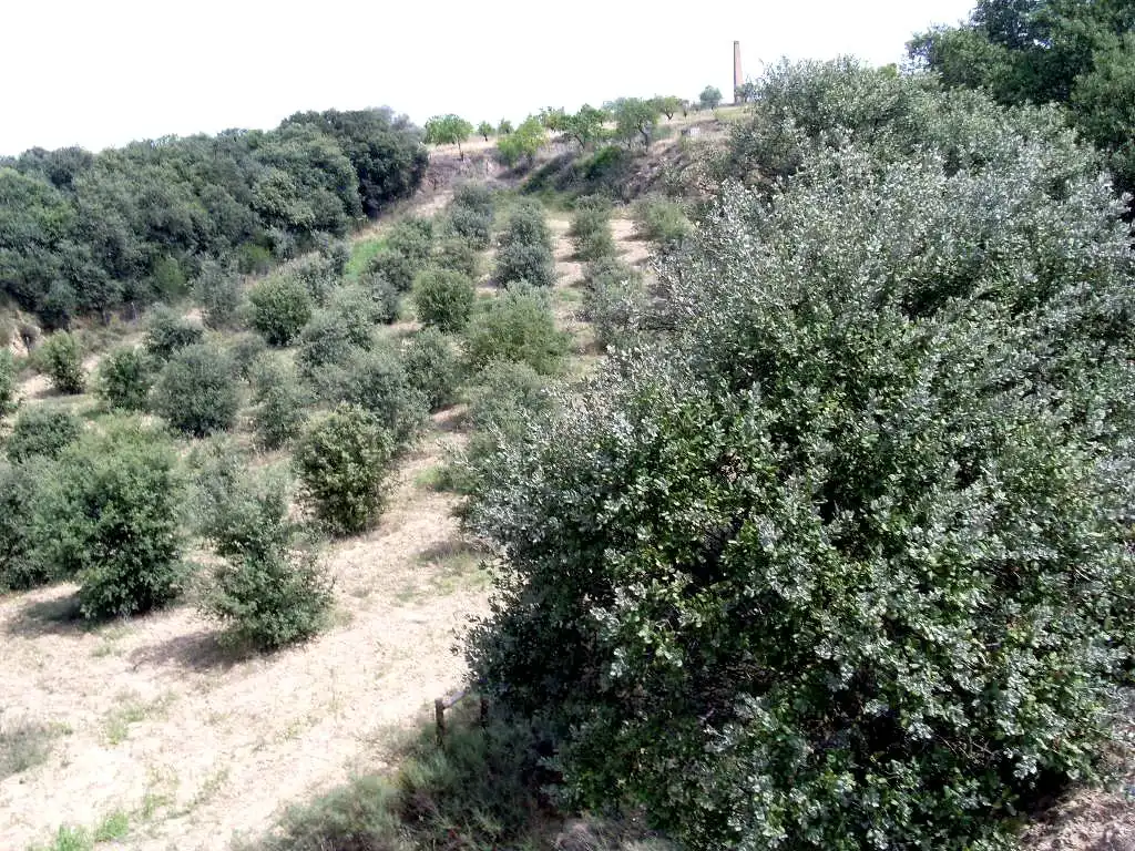 Terreni e lotti in vendita a Barbastro, imagen 2