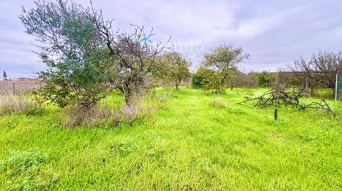 Foto 5 de Casa o xalet en venda a Los Franceses – La Vega, Chiclana de la Frontera