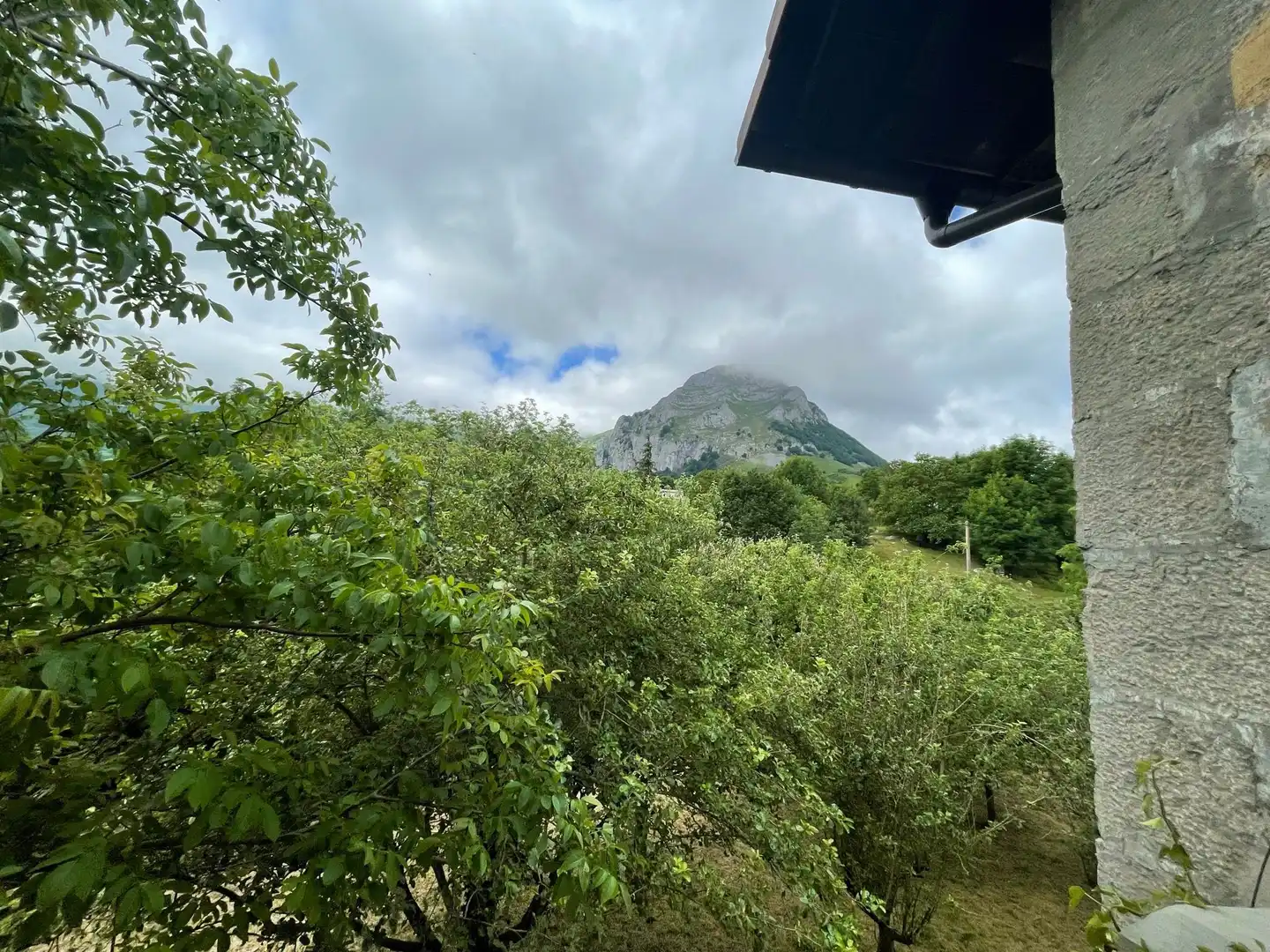 Vista exterior de Finca rústica en venta en Araitz con Jardín privado y Terraza