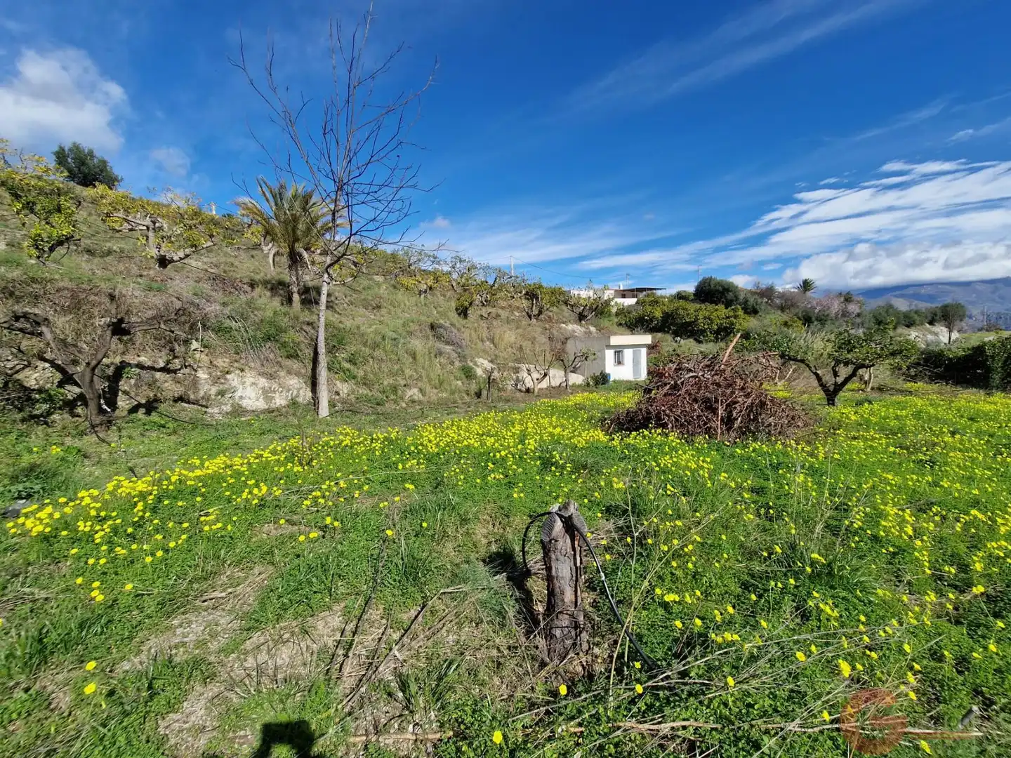 Casa rústica en venda a Centro, imagen 2