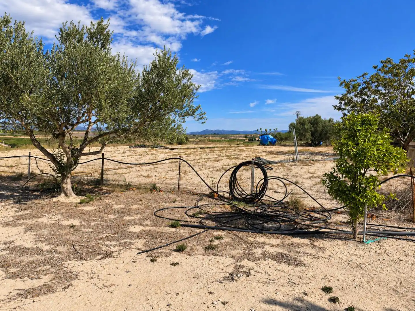 Villa mit Garten zum Verkauf in Albaida, imagen 33