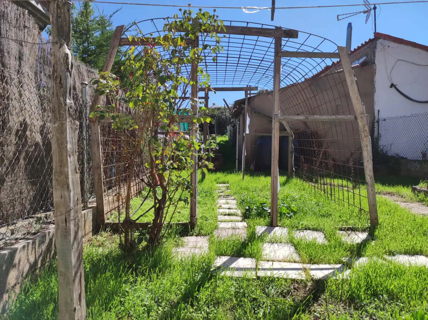 Casa o chalet en venta en Calle del Camino de los Toros, Calaverón - Pajaritos