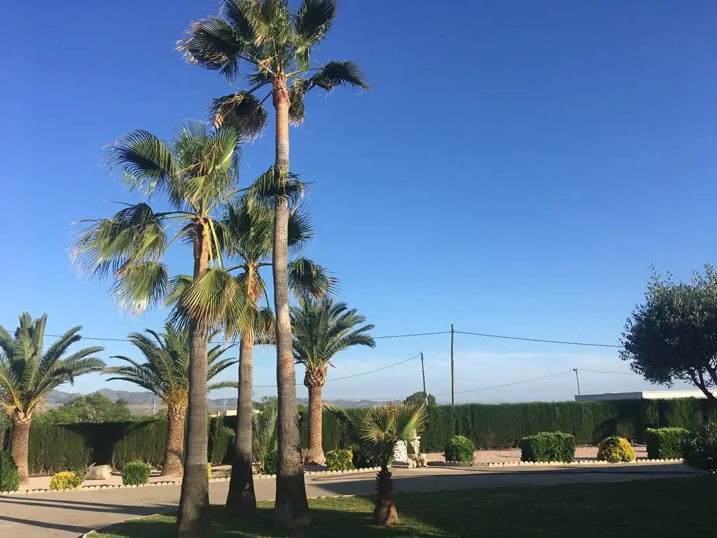 Xalet en venda a Pedanías Norte, imagen 4