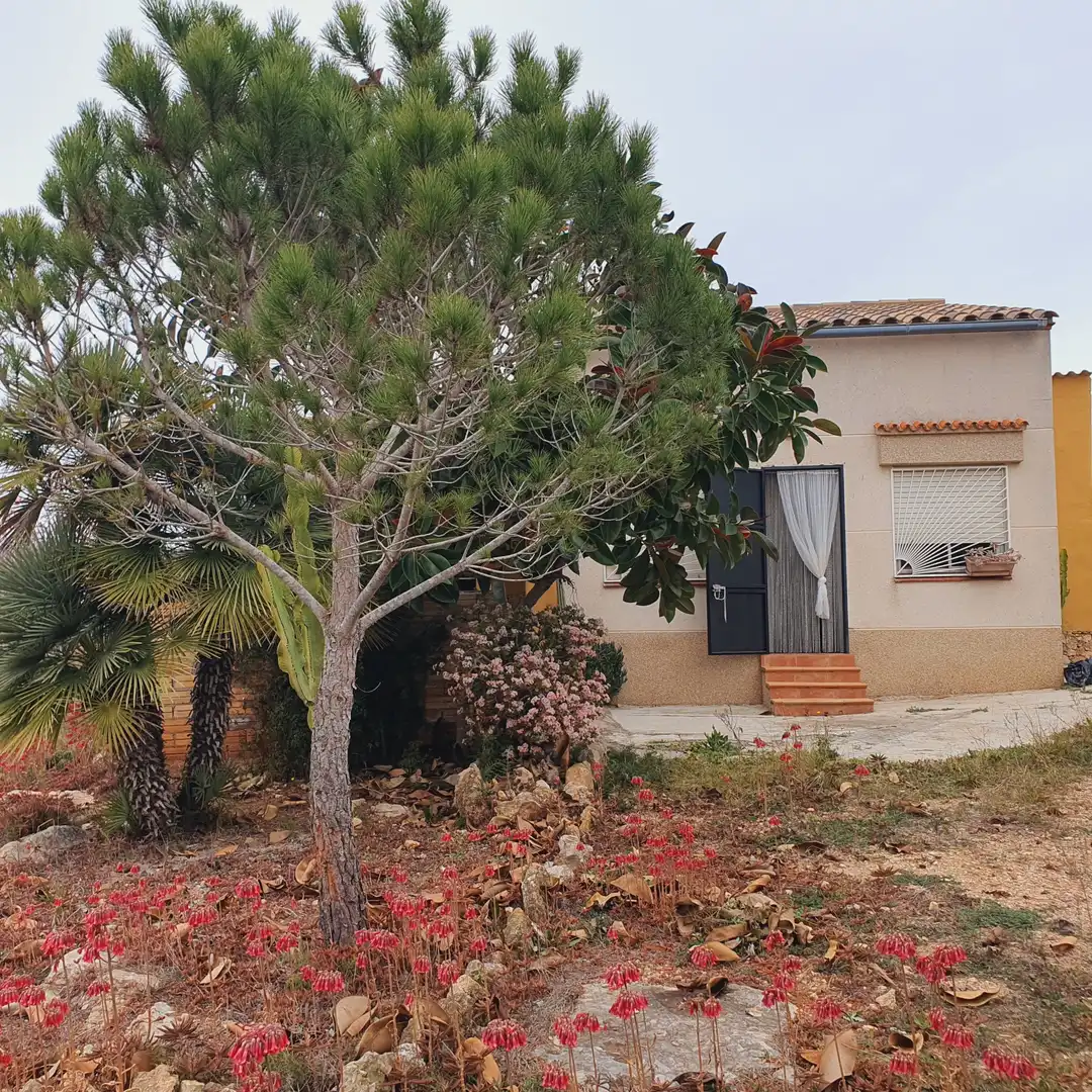 Terrain rustique à vendre à L'Aldea, imagen 14